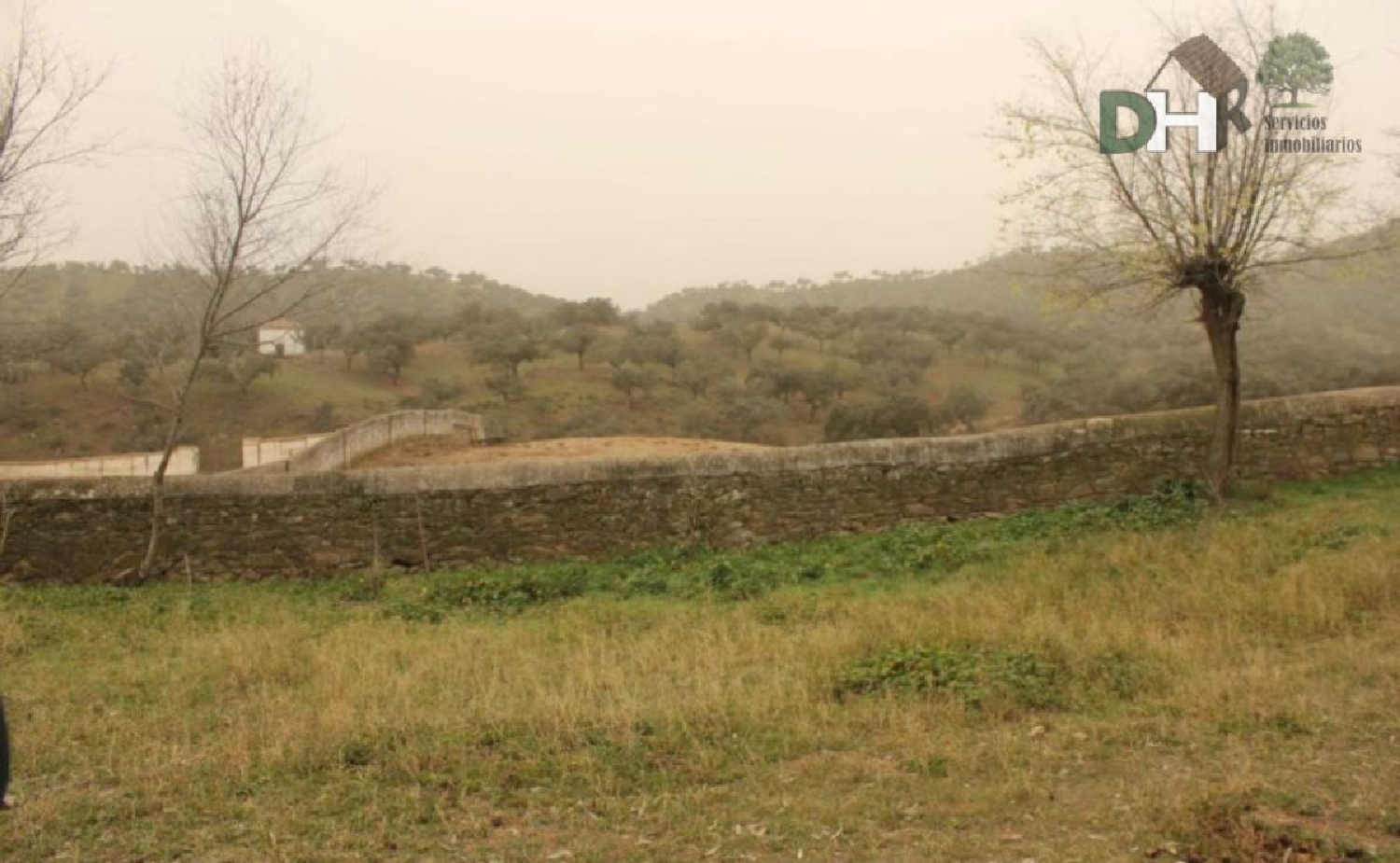  till salu tomt Los Olivos Tierra De Barros 4