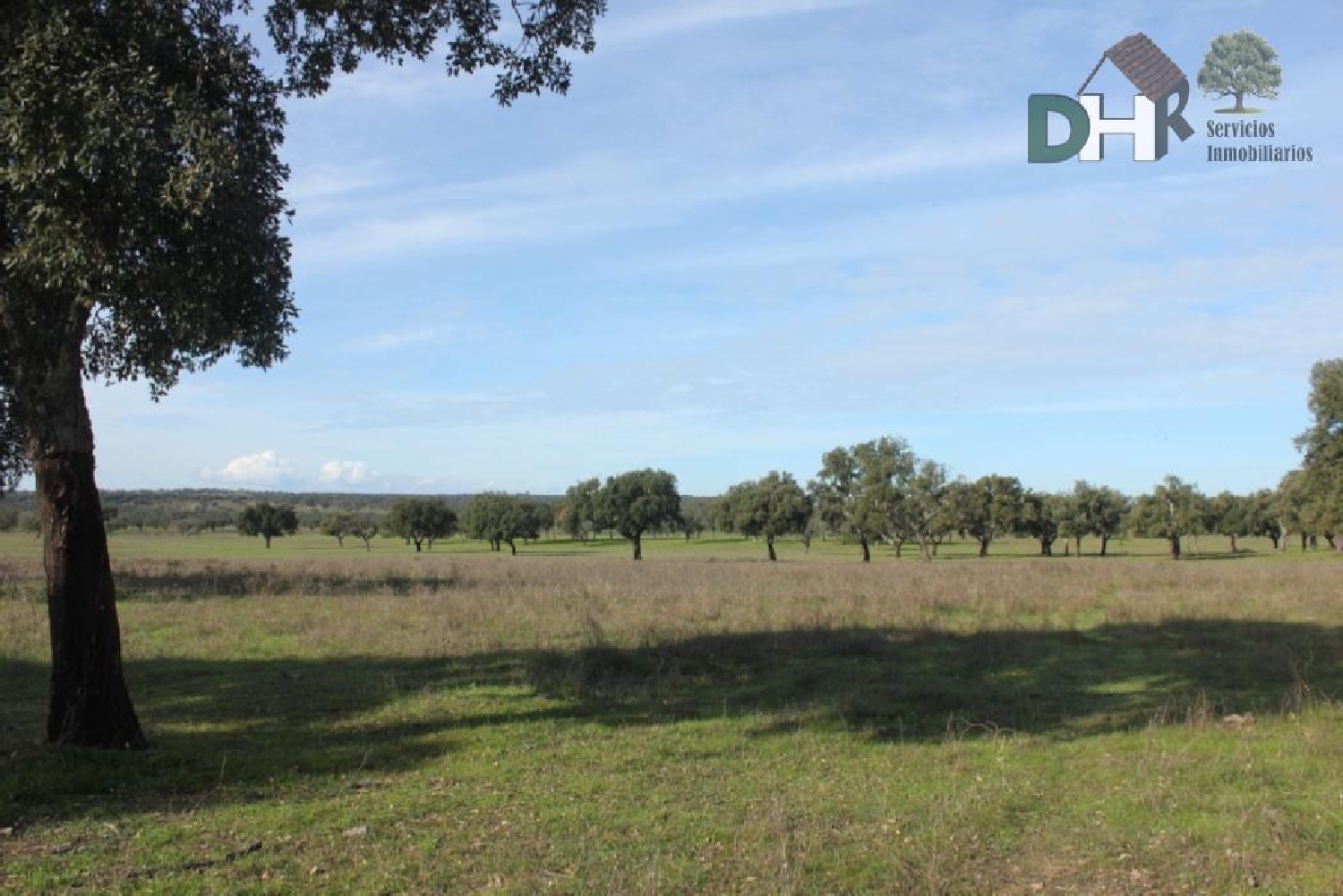  till salu tomt Los Pinares Badajoz 6