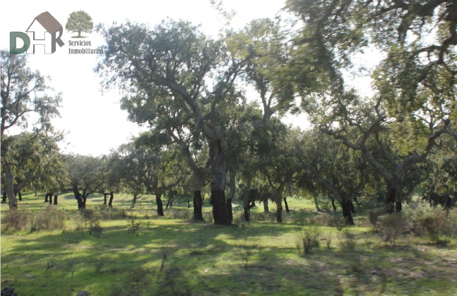  till salu tomt Los Pinares Badajoz 5