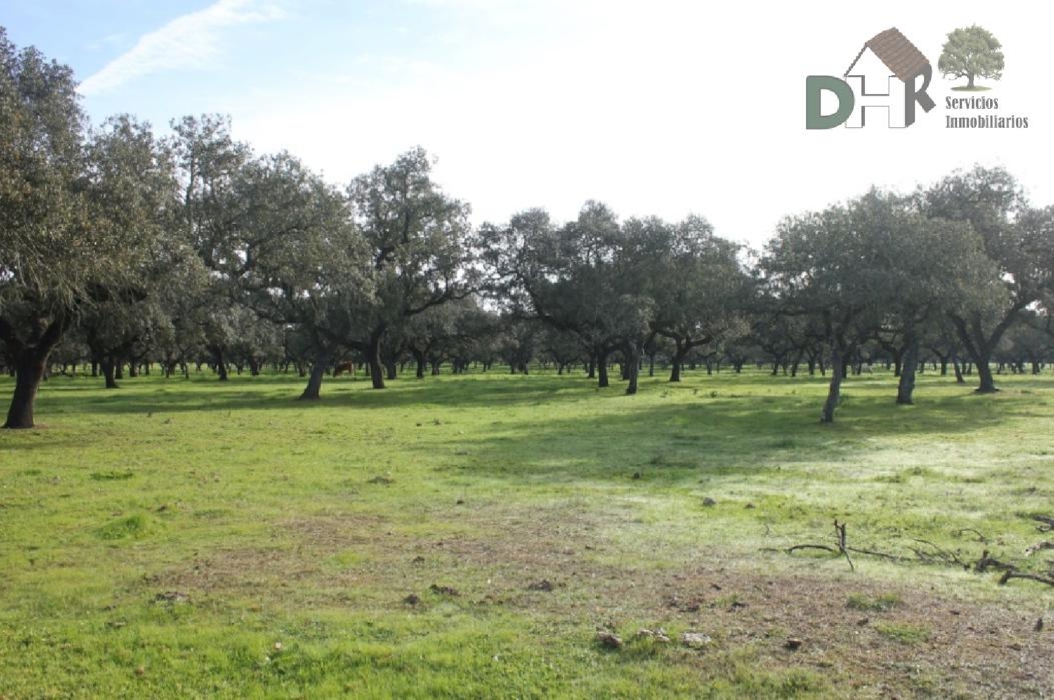  till salu tomt Los Pinares Badajoz 4
