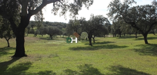 Los Pinares Badajoz tomt foto 6258016