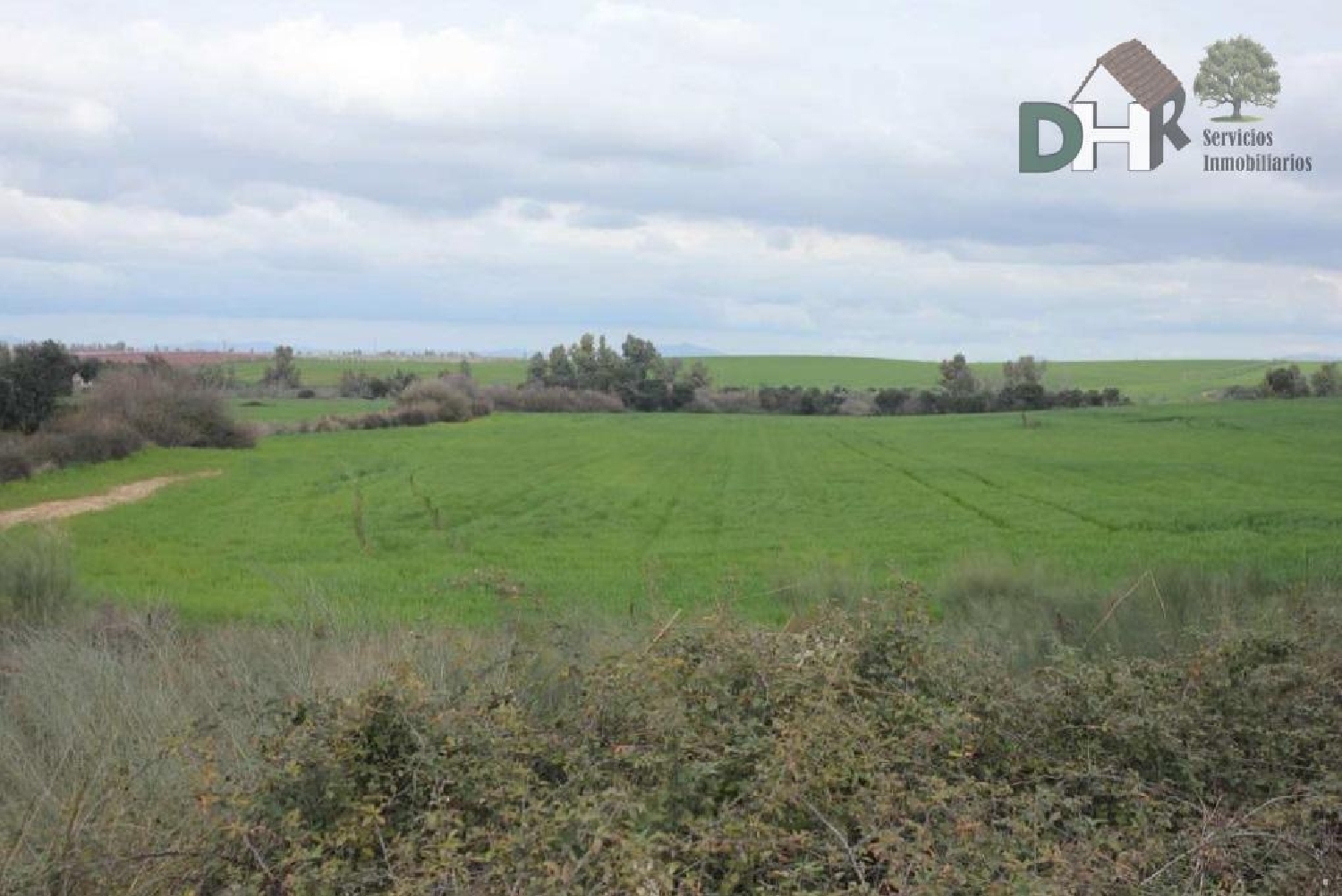 till salu tomt Los Pinares Badajoz 3