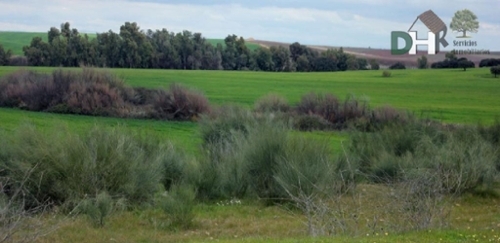 Los Pinares Badajoz tomt foto 6258435