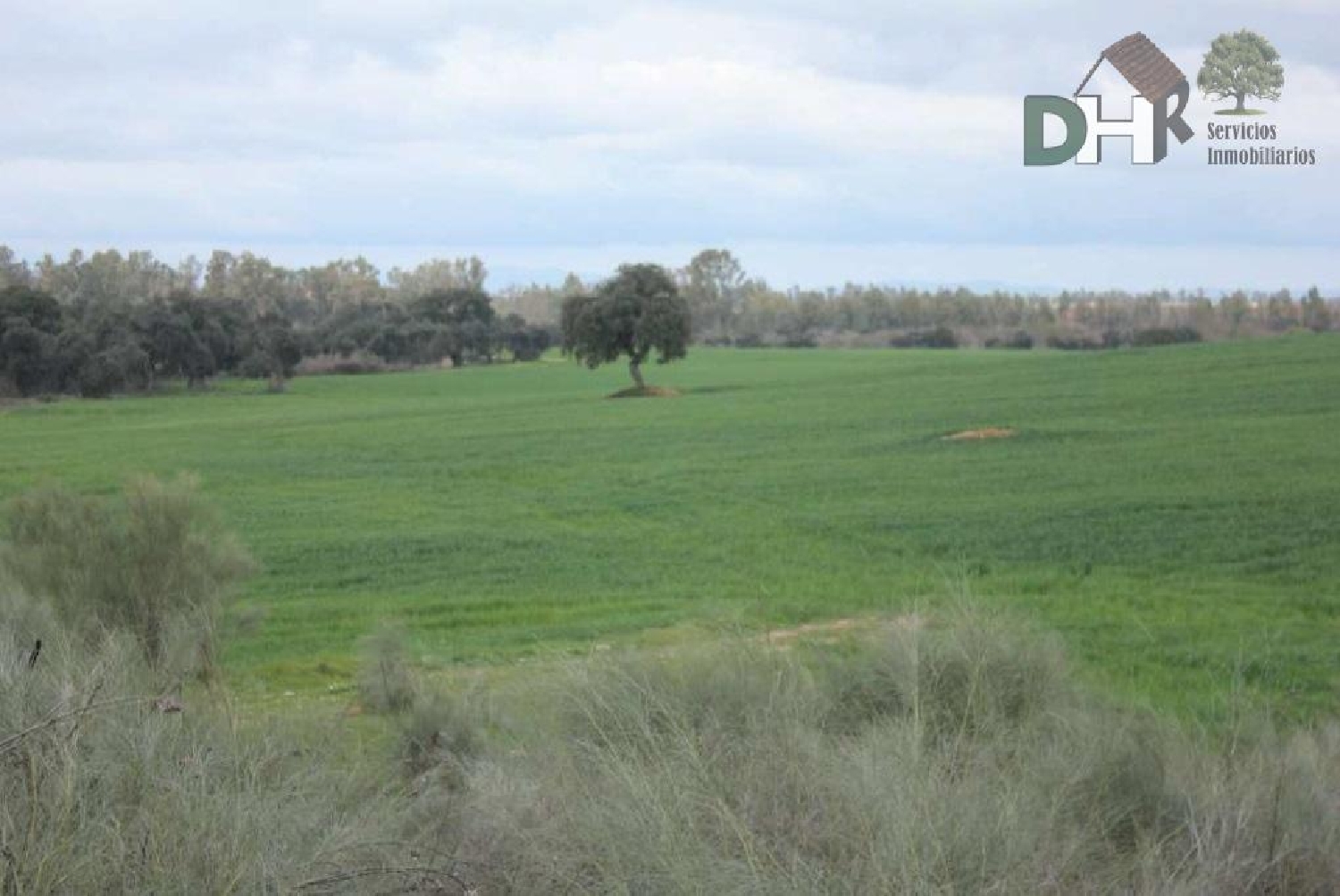  till salu tomt Los Pinares Badajoz 4