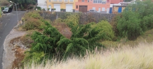  till salu tomt Los Piquetes Zona Norte 8