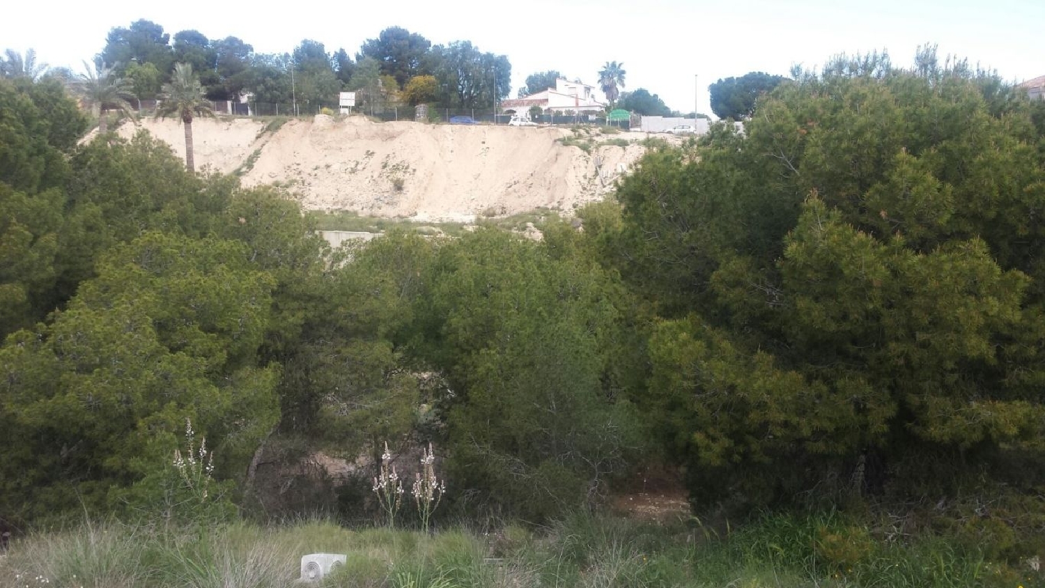  till salu tomt Los Pulpites Vega Media Del Segura 1