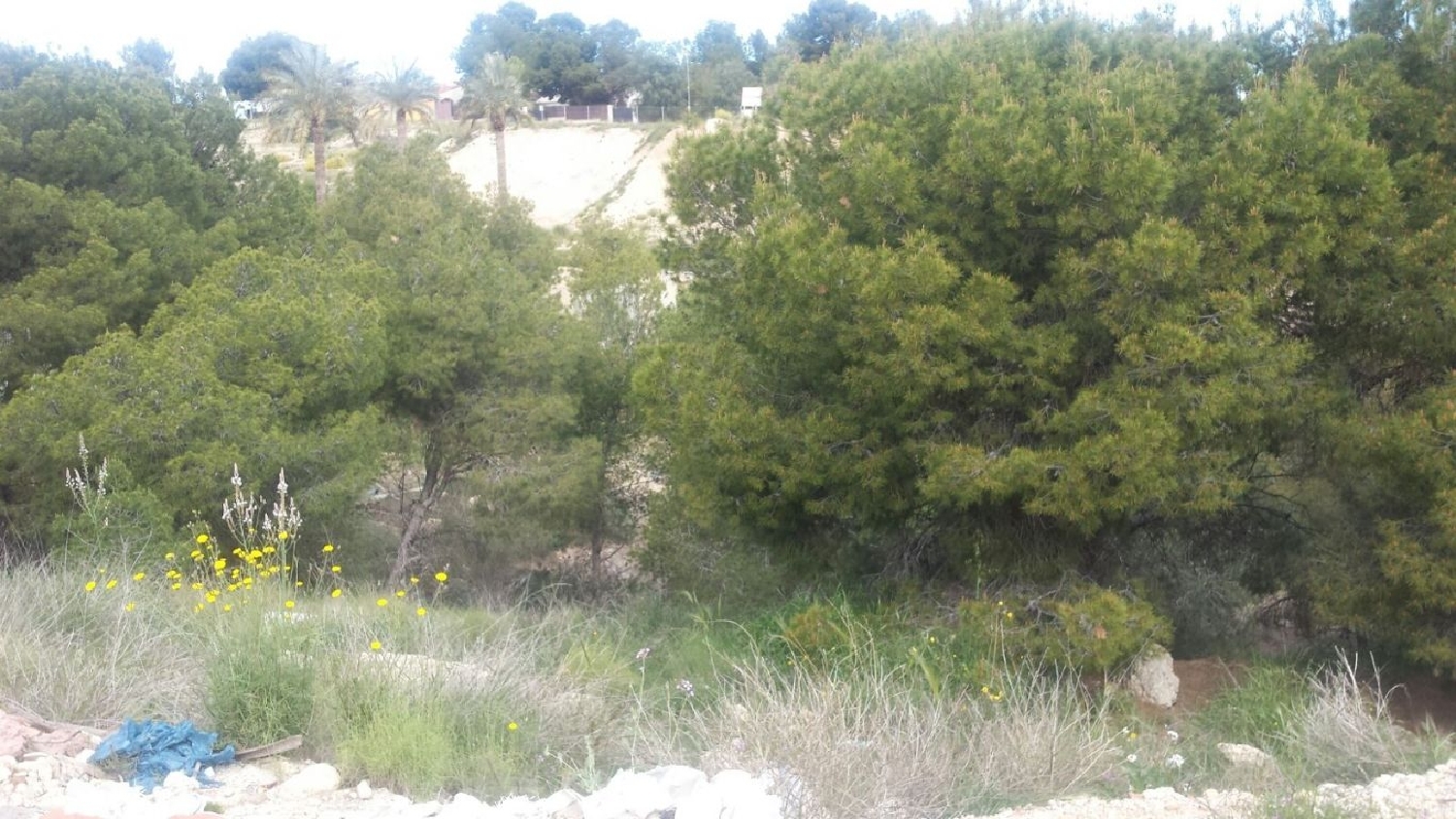 till salu tomt Los Pulpites Vega Media Del Segura 3