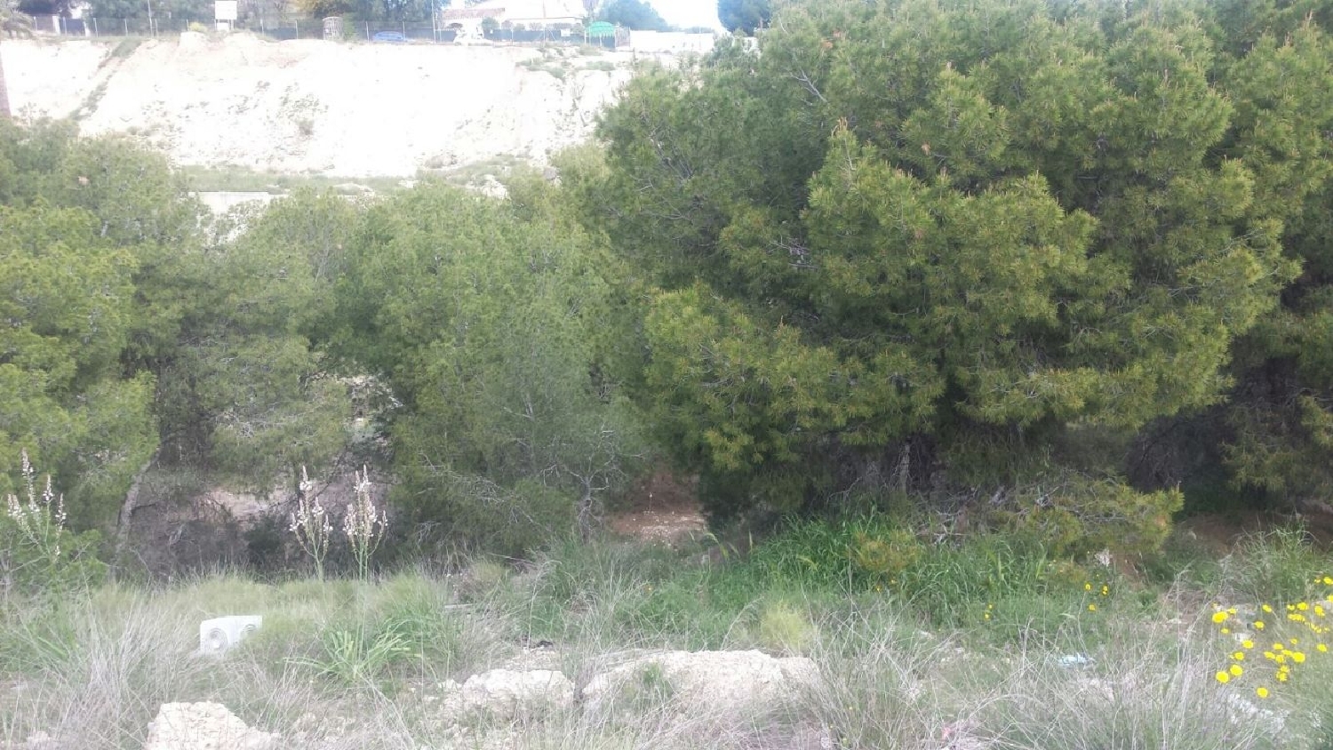 till salu tomt Los Pulpites Vega Media Del Segura 2