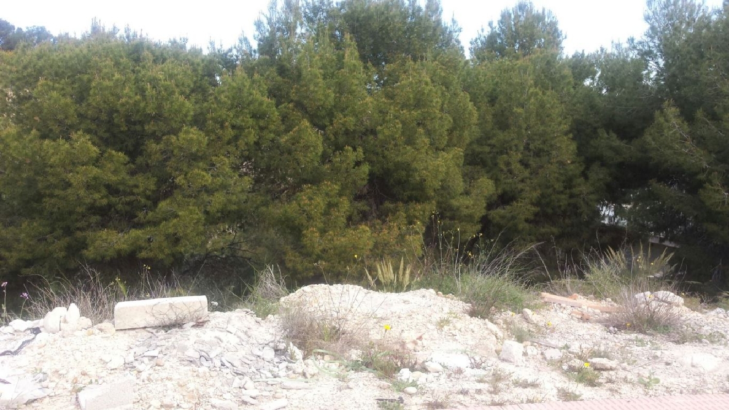  till salu tomt Los Pulpites Vega Media Del Segura 5