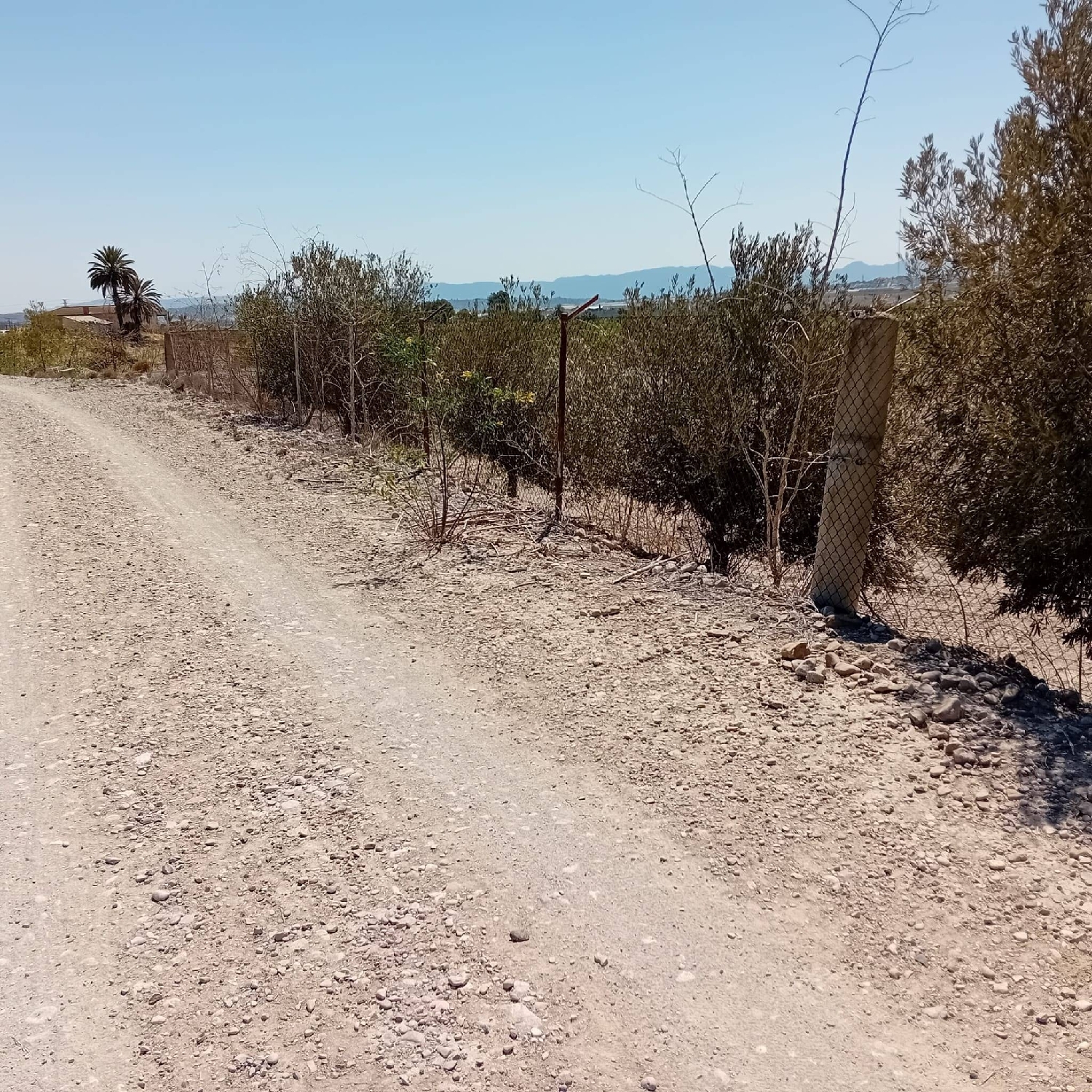  till salu tomt Los Rodeos Vega Media Del Segura 4