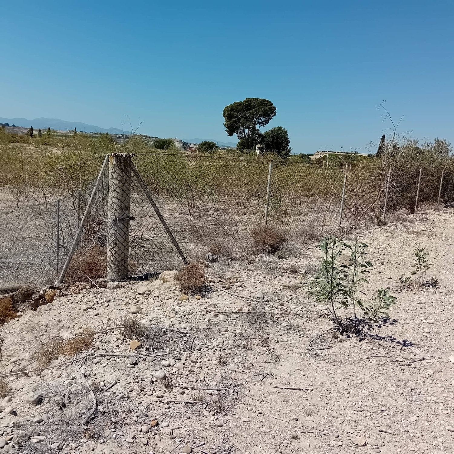  till salu tomt Los Rodeos Vega Media Del Segura 5