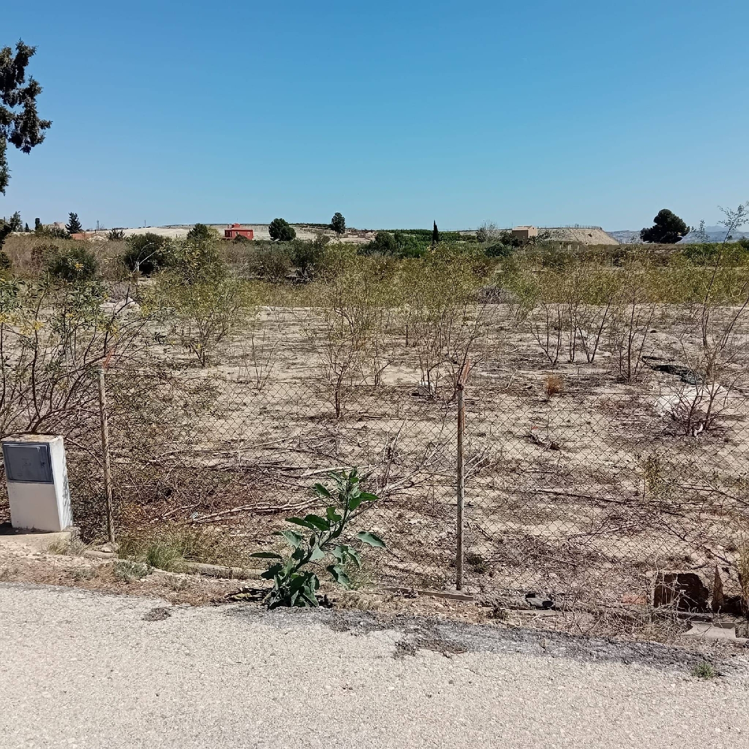  till salu tomt Los Rodeos Vega Media Del Segura 7