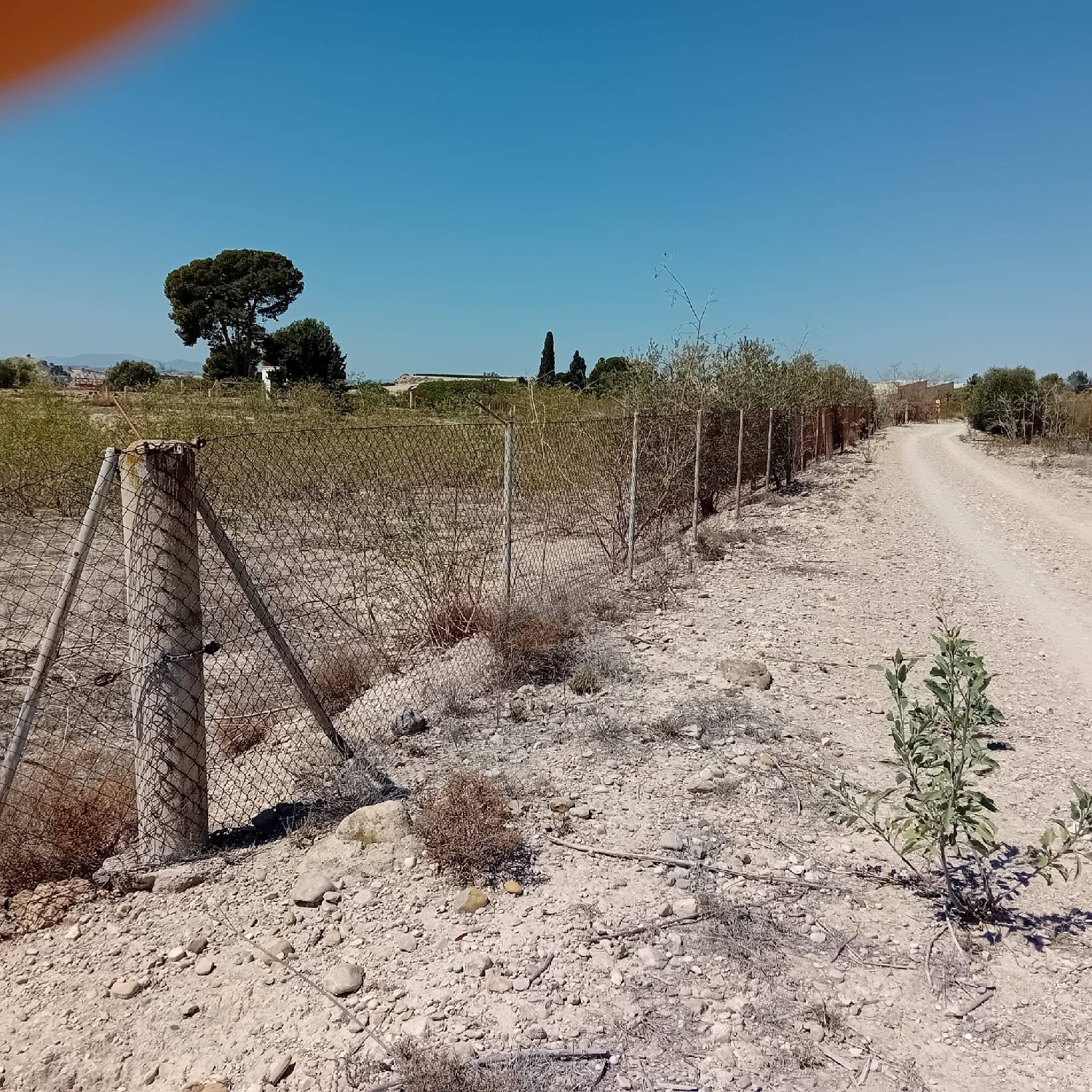 till salu tomt Los Rodeos Vega Media Del Segura 3