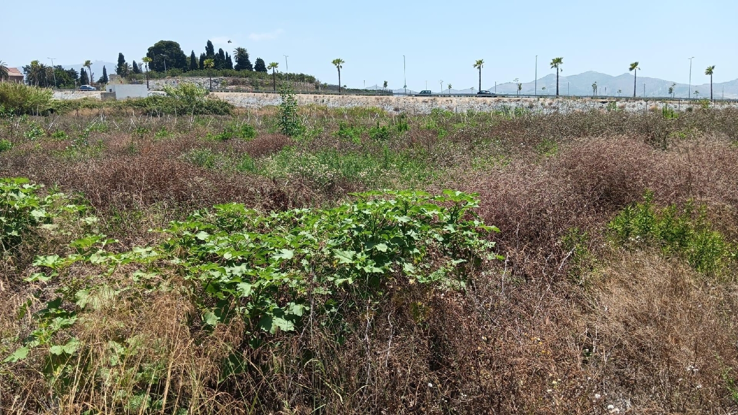  for sale plot Motril Costa Tropical 6