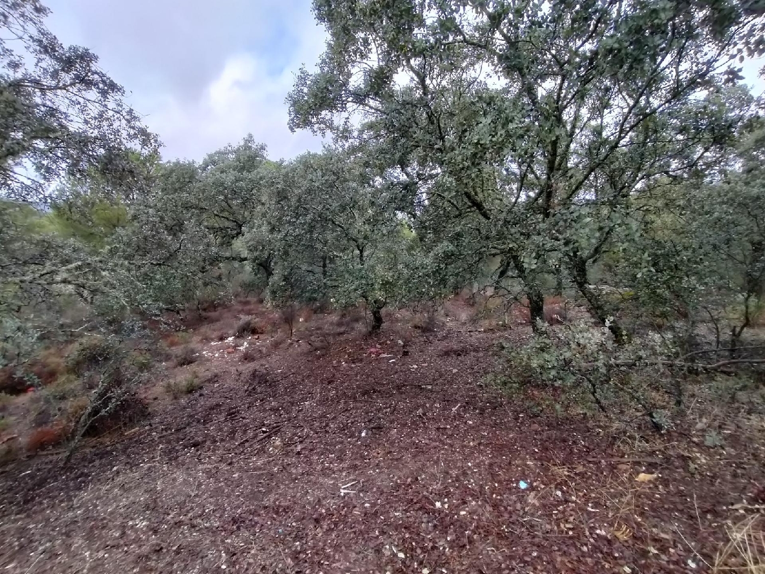 for sale plot Los Villares Córdoba 3
