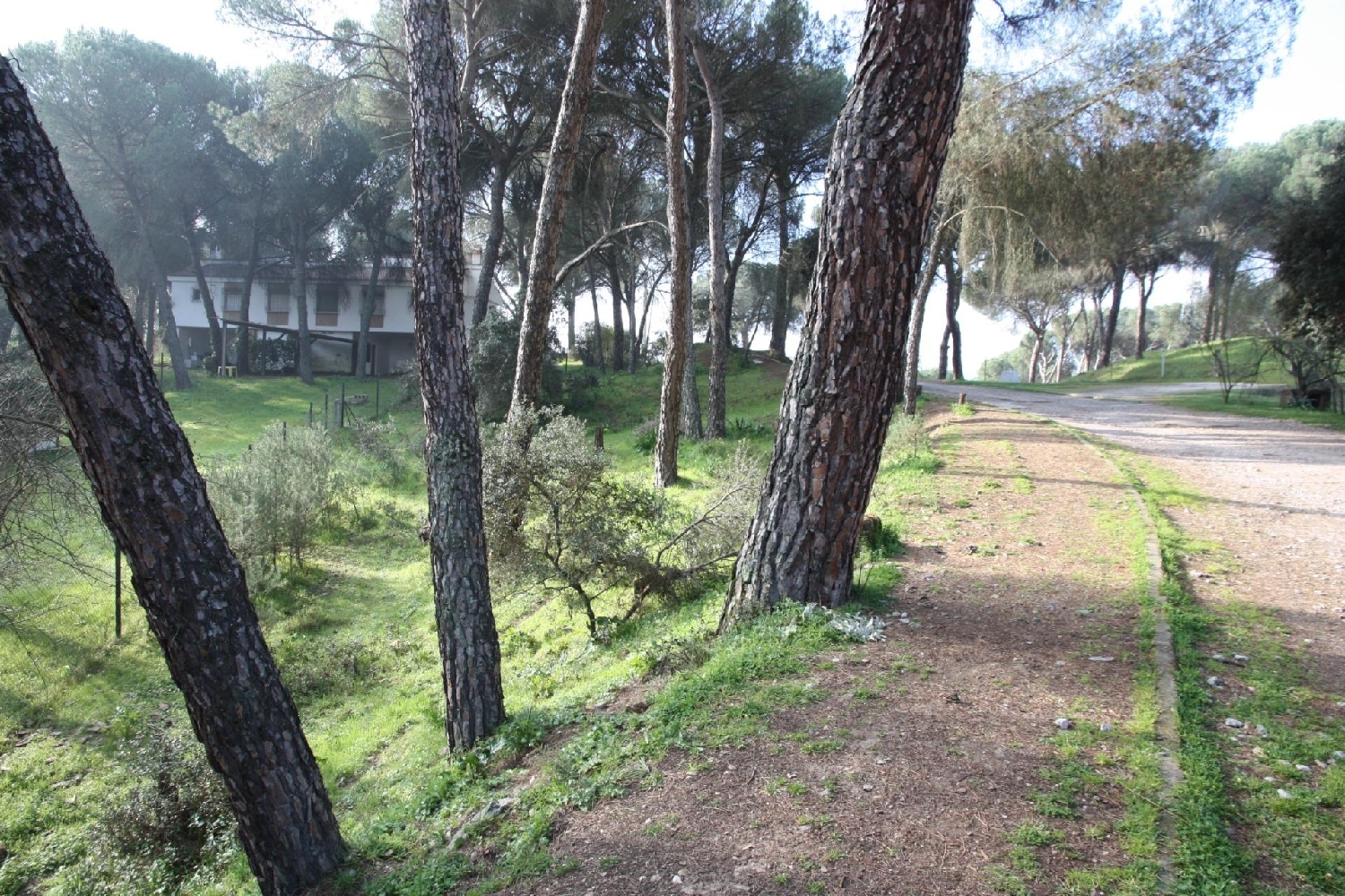  for sale plot Los Villares Córdoba 4