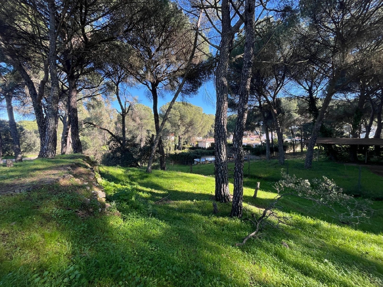  for sale plot Los Villares Córdoba 7