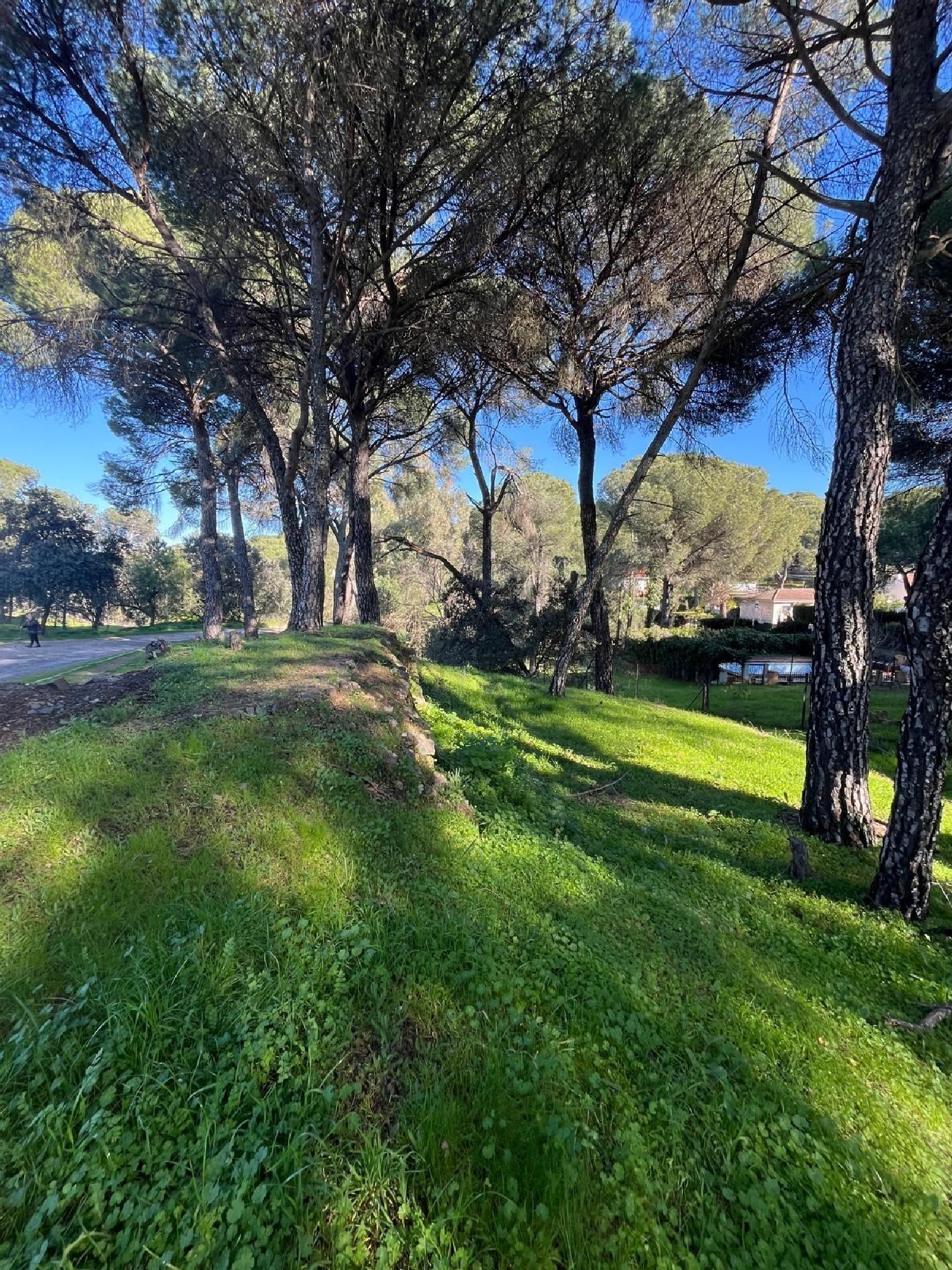  for sale plot Los Villares Córdoba 1