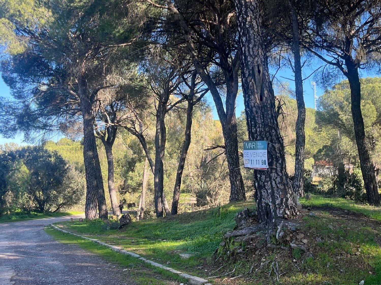  for sale plot Los Villares Córdoba 6