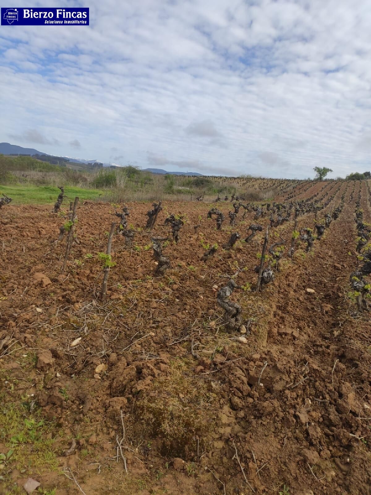 till salu tomt Magaz De Arriba Bierzo (El) 5