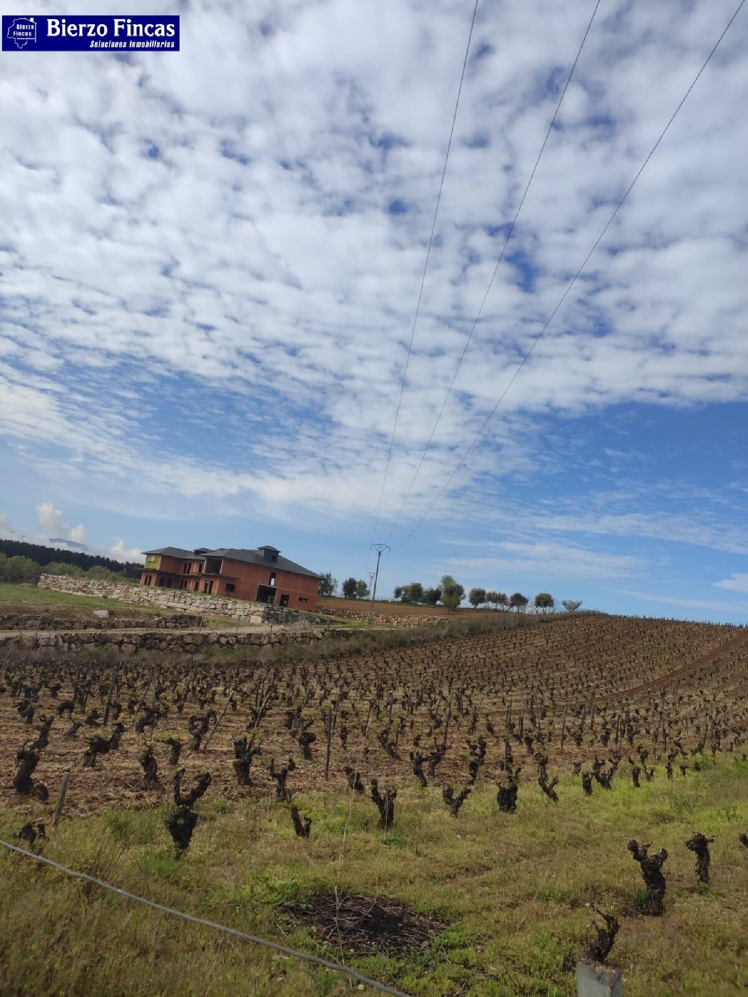  till salu tomt Magaz De Arriba Bierzo (El) 8