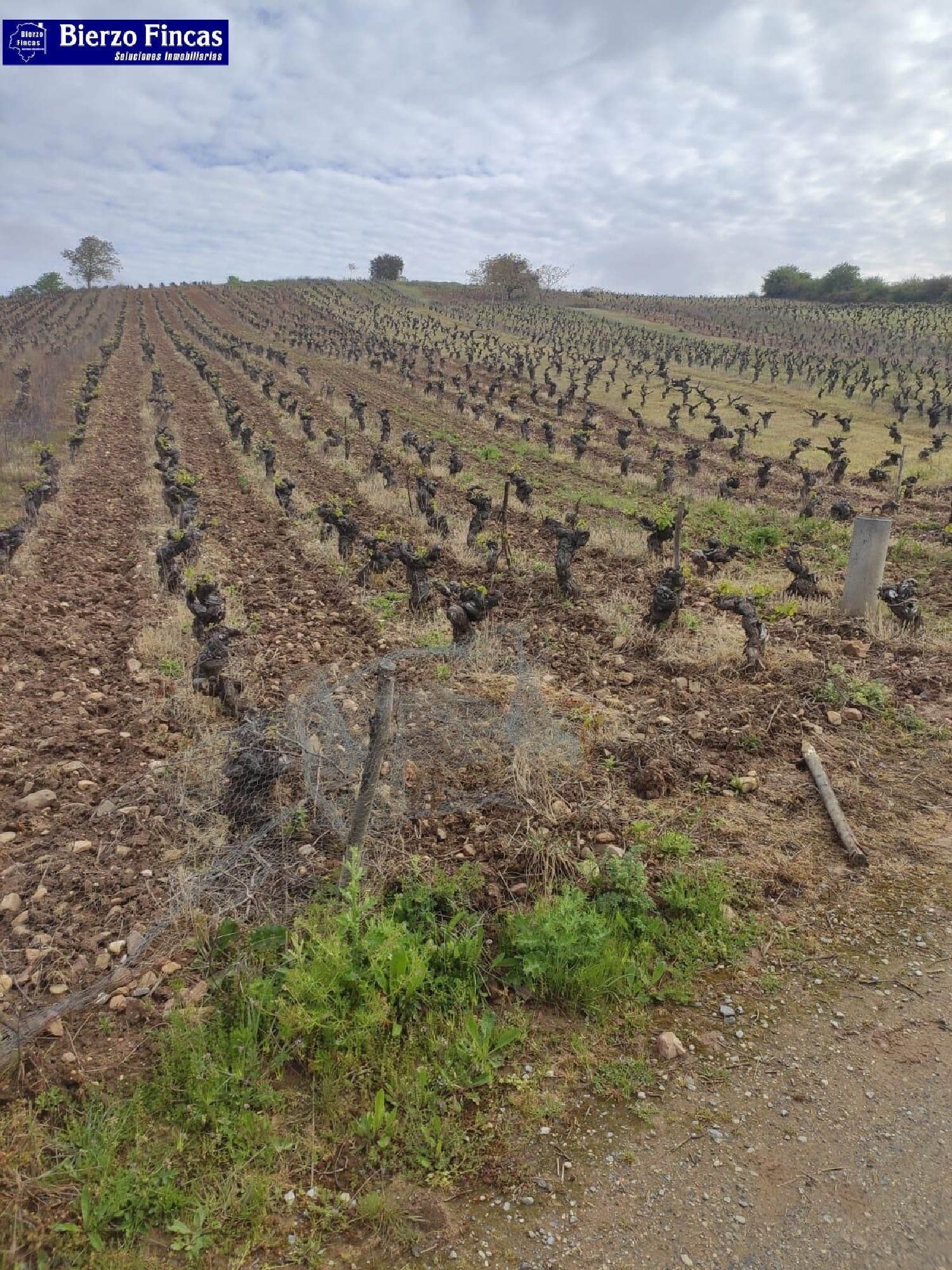 till salu tomt Magaz De Arriba Bierzo (El) 2
