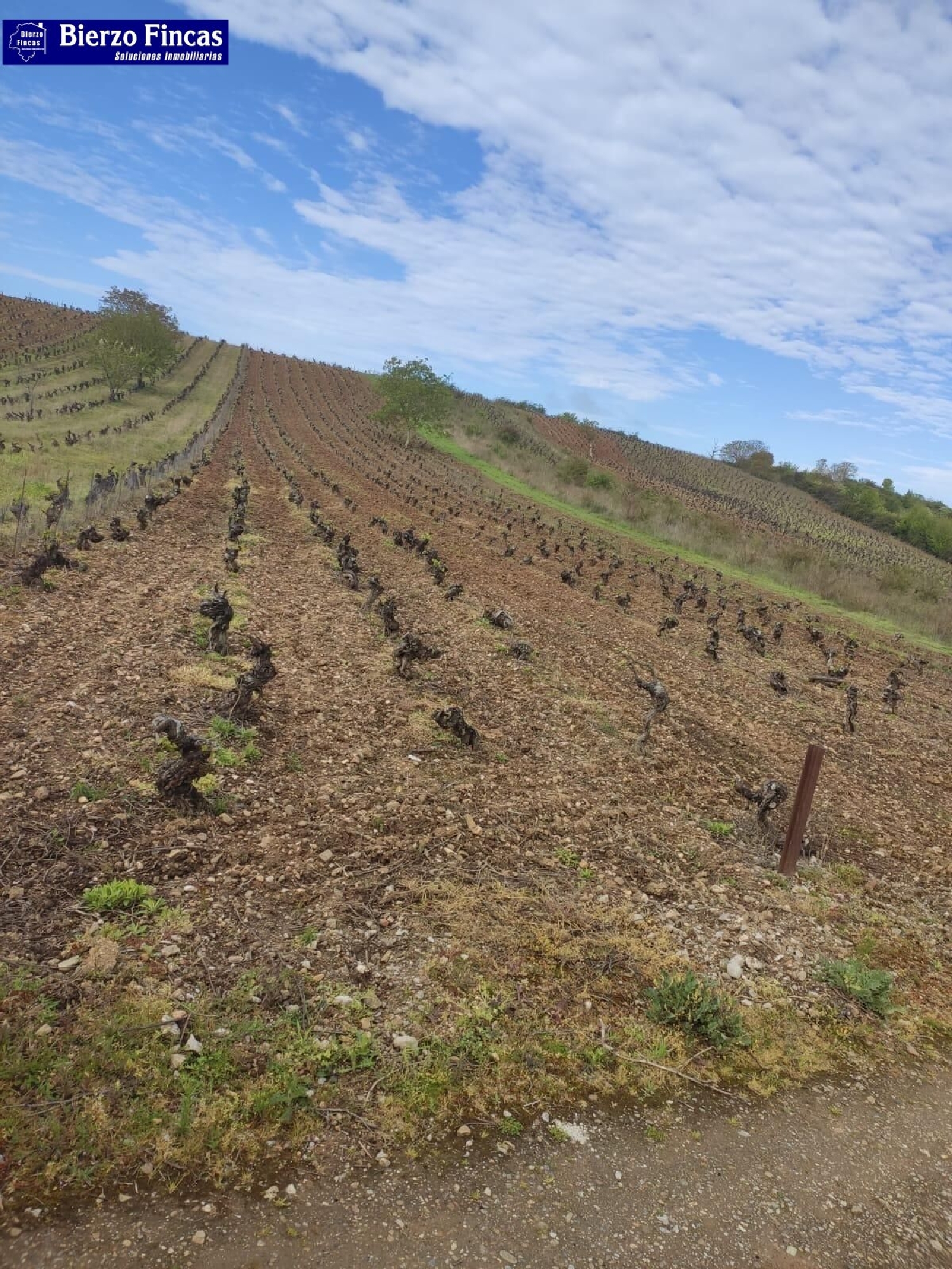  till salu tomt Magaz De Arriba Bierzo (El) 7