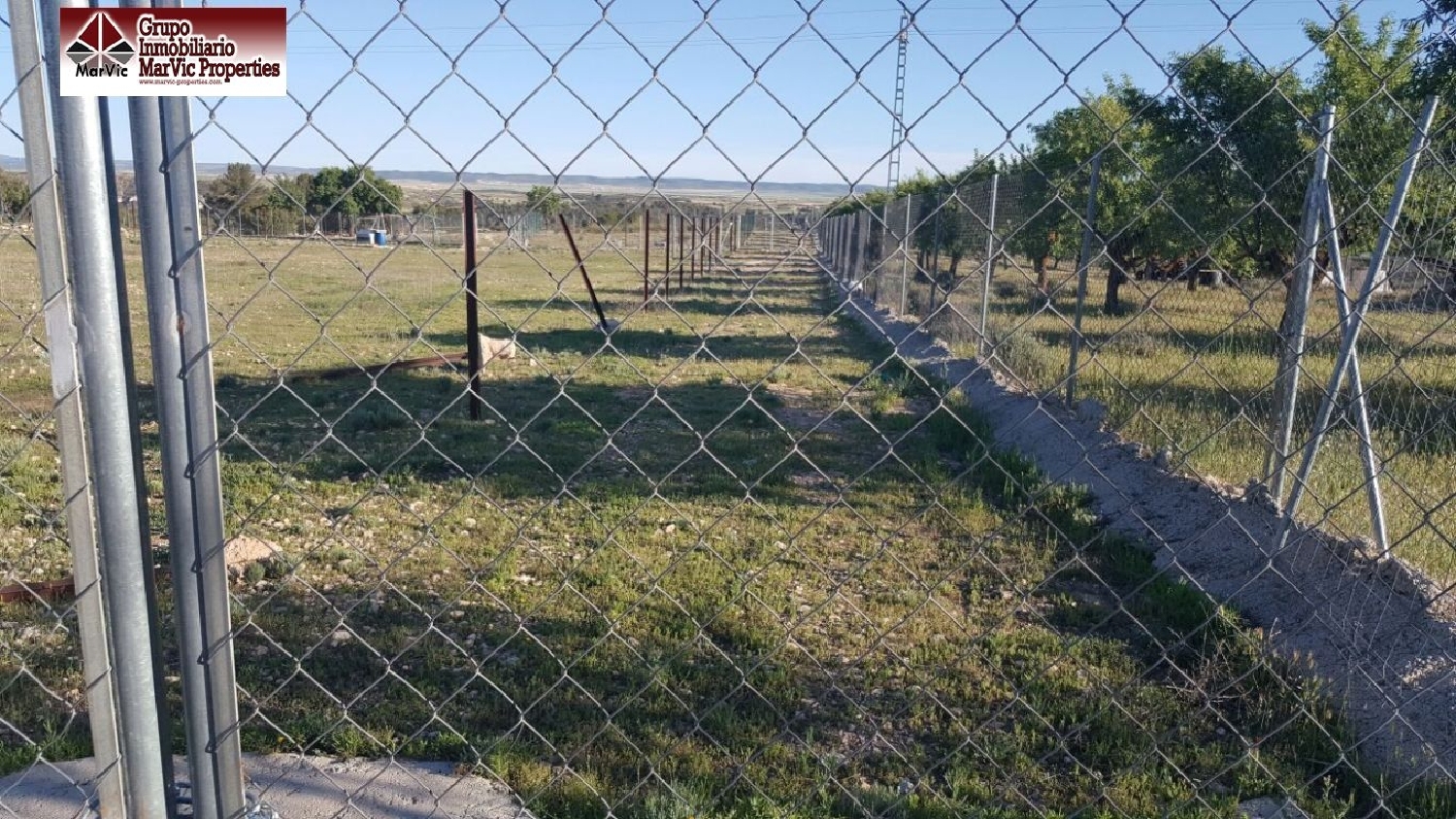  à vendre terrain Mahora Manchuela (La) 7