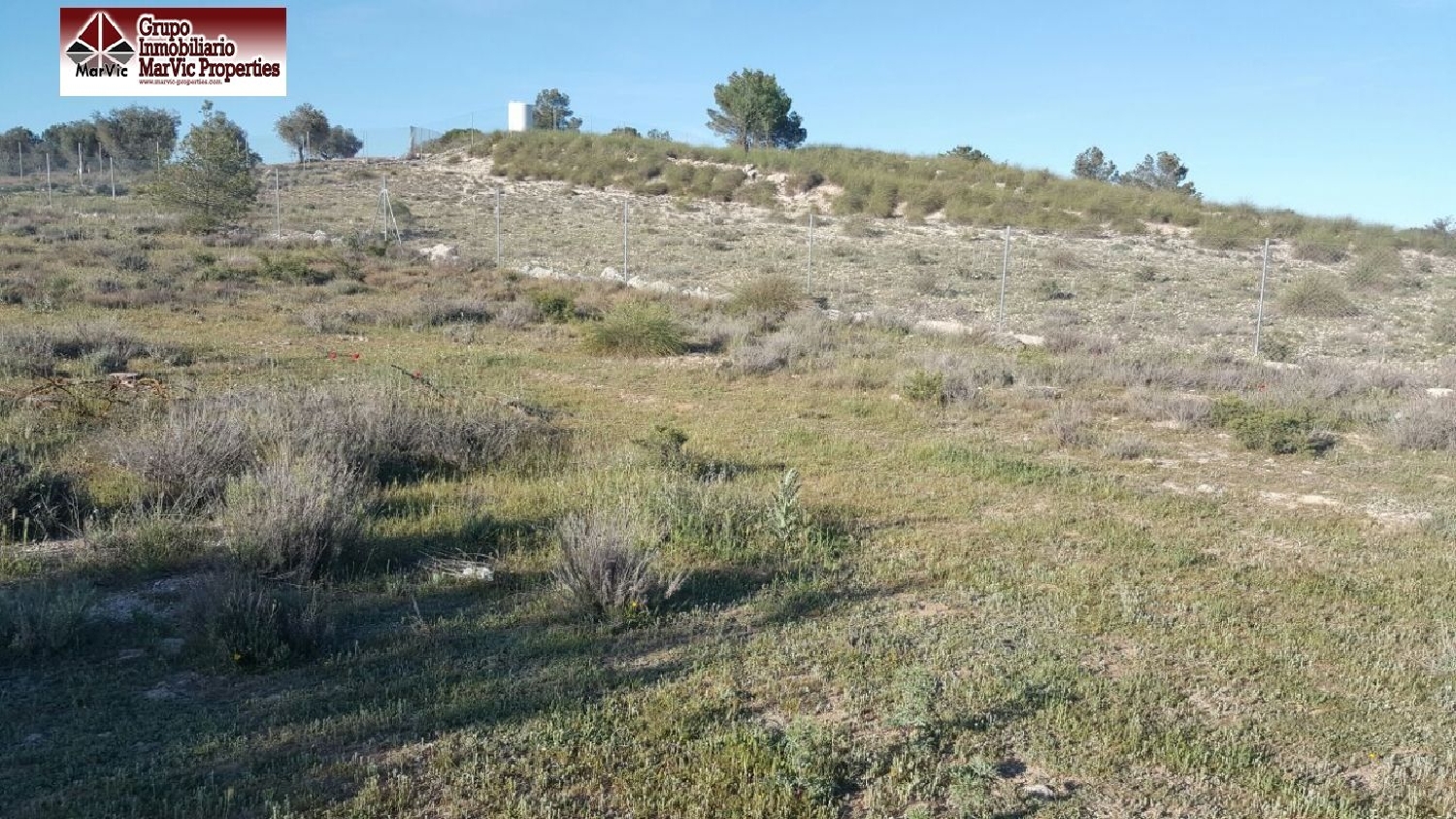  à vendre terrain Mahora Manchuela (La) 8