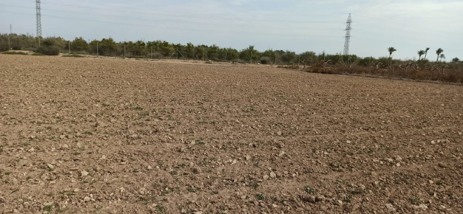  for sale plot Perleta Baix Vinalopó 6