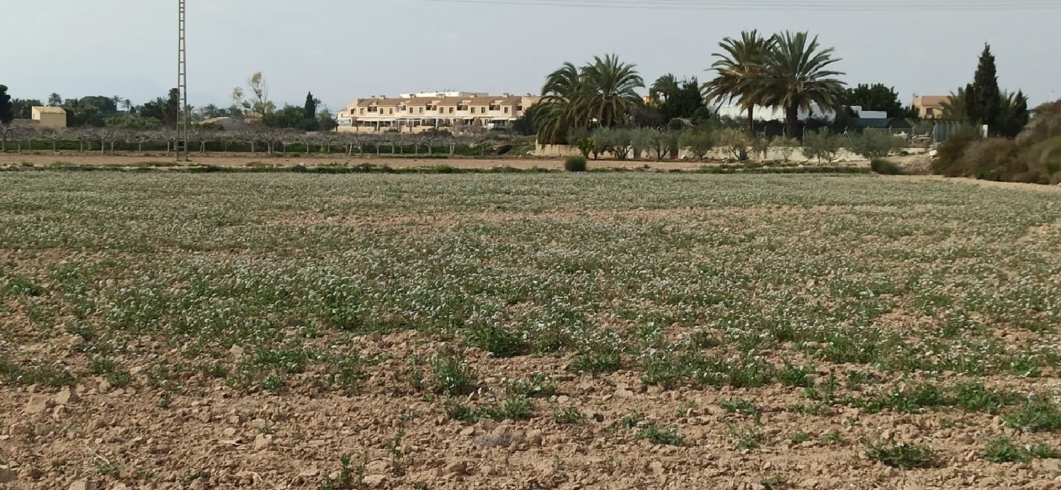 for sale plot Perleta Baix Vinalopó 3