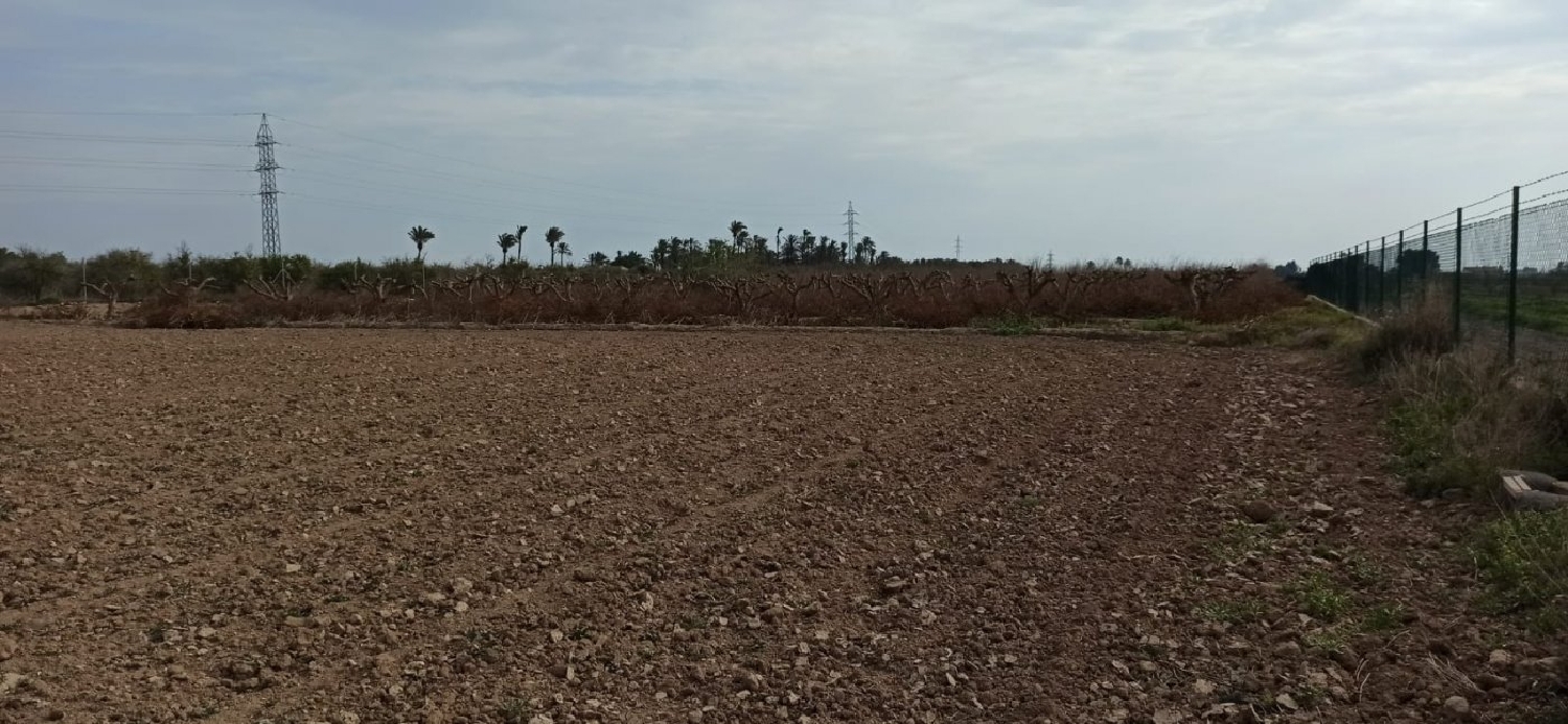  for sale plot Perleta Baix Vinalopó 7
