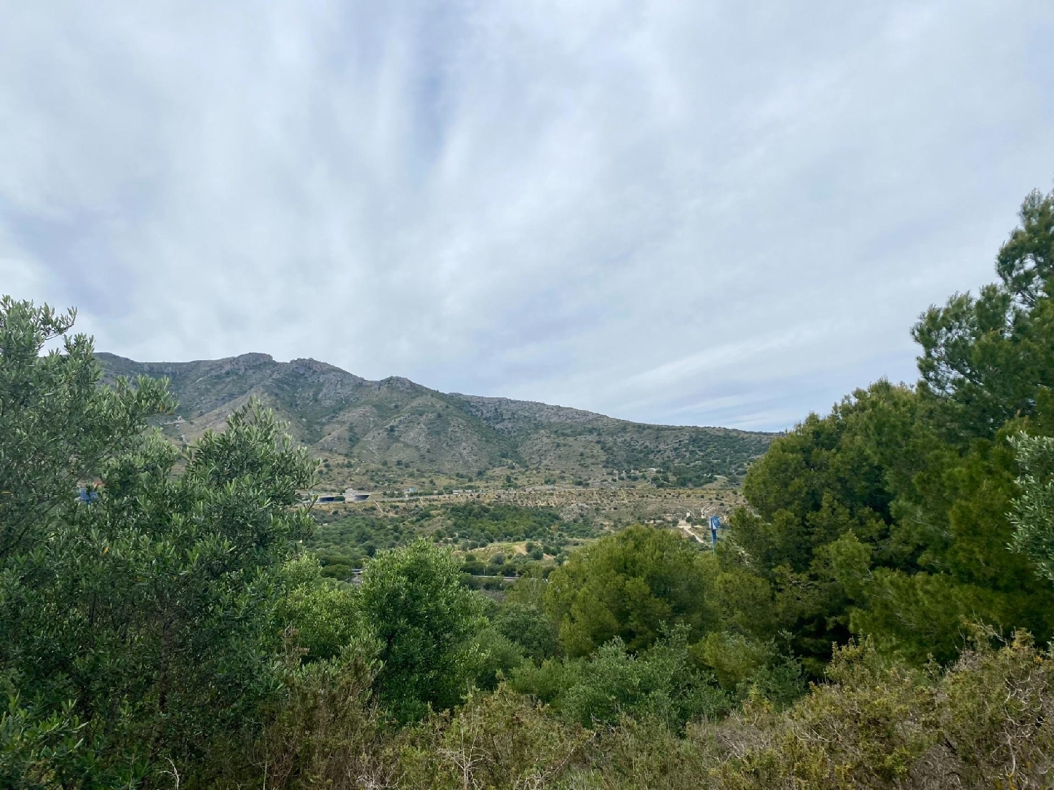  for sale plot Málaga Centro 29001 Málaga-Costa Del Sol 1