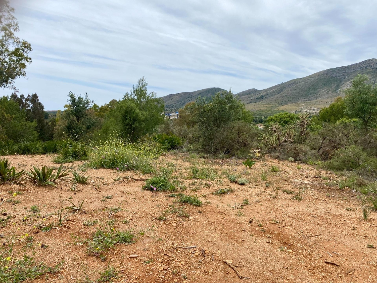  for sale plot Málaga Centro 29001 Málaga-Costa Del Sol 5