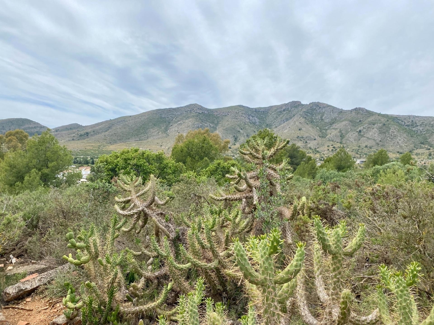  for sale plot Málaga Centro 29001 Málaga-Costa Del Sol 8