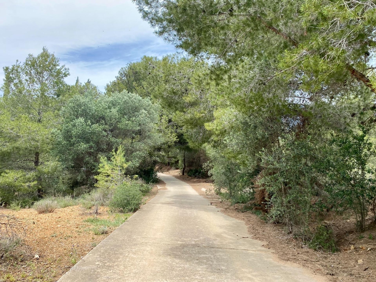  for sale plot Málaga Centro 29001 Málaga-Costa Del Sol 3