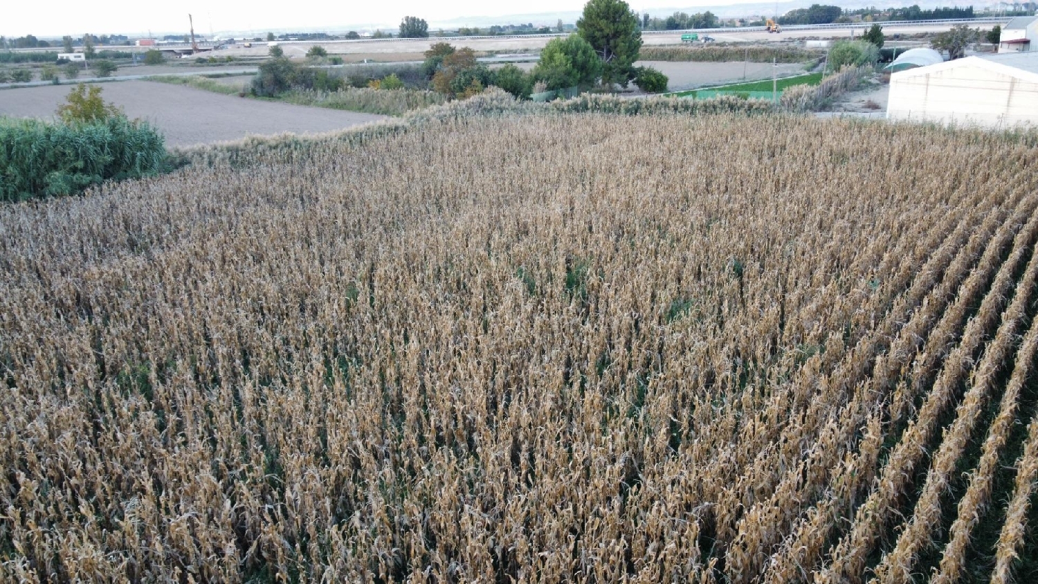  kaufen Grundstück Mallén Campo De Borja 1