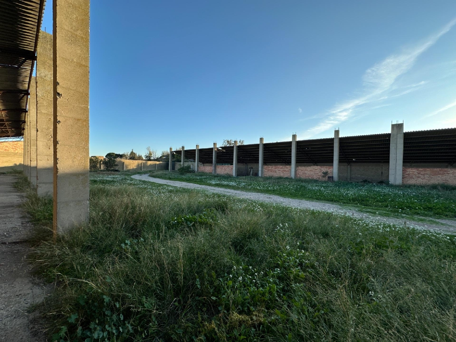  kaufen Grundstück Mallén Campo De Borja 4