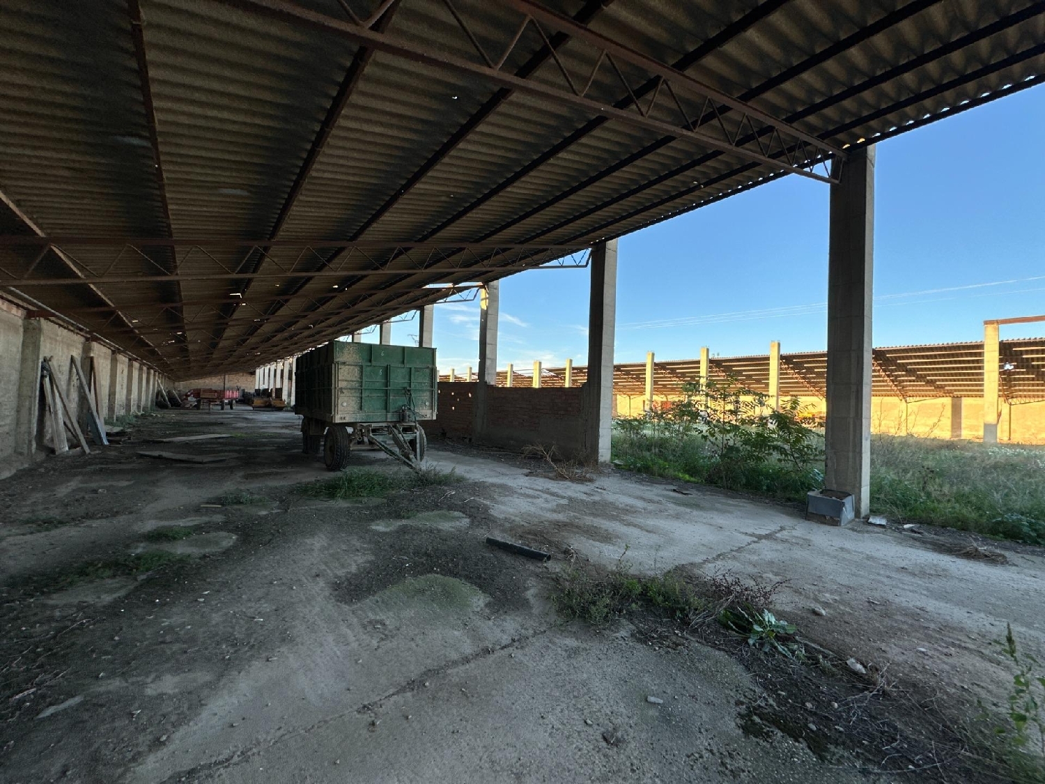  kaufen Grundstück Mallén Campo De Borja 7