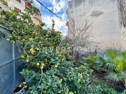 Manacor Llevant tomt foto 6216239