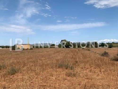 Manacor Llevant tomt foto 6255120