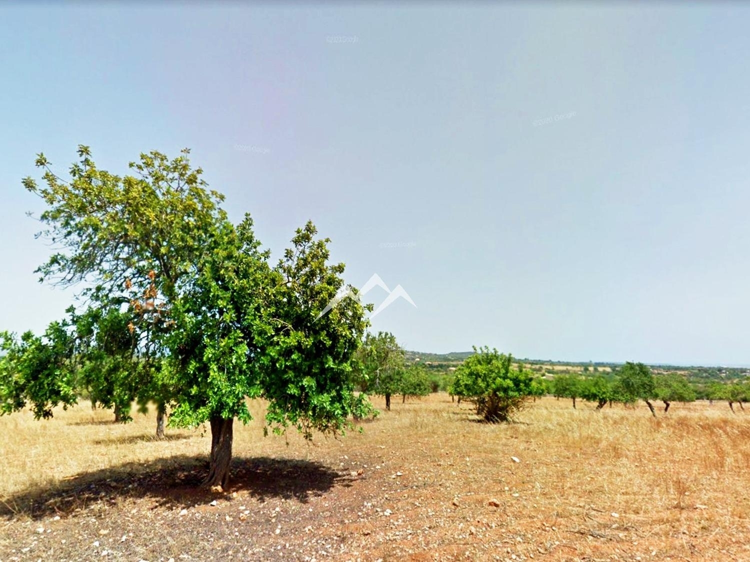  till salu tomt Manacor Llevant 3
