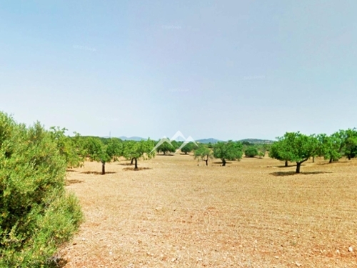 Manacor Llevant tomt foto 6256258