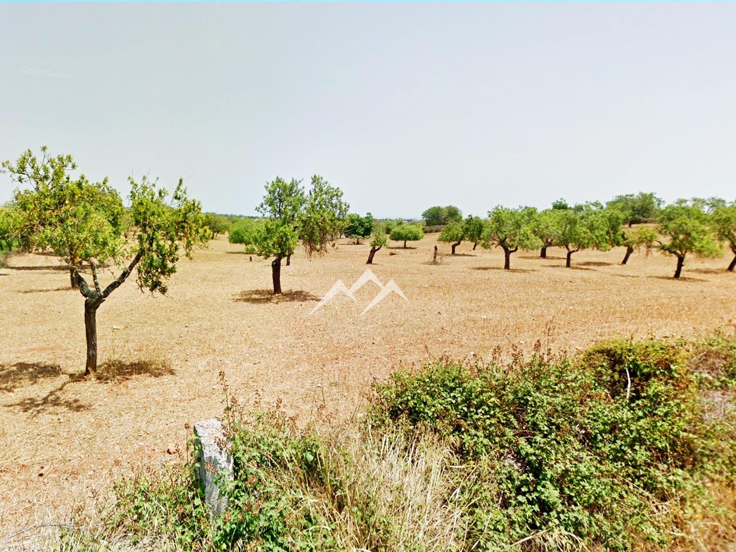  till salu tomt Manacor Llevant 2