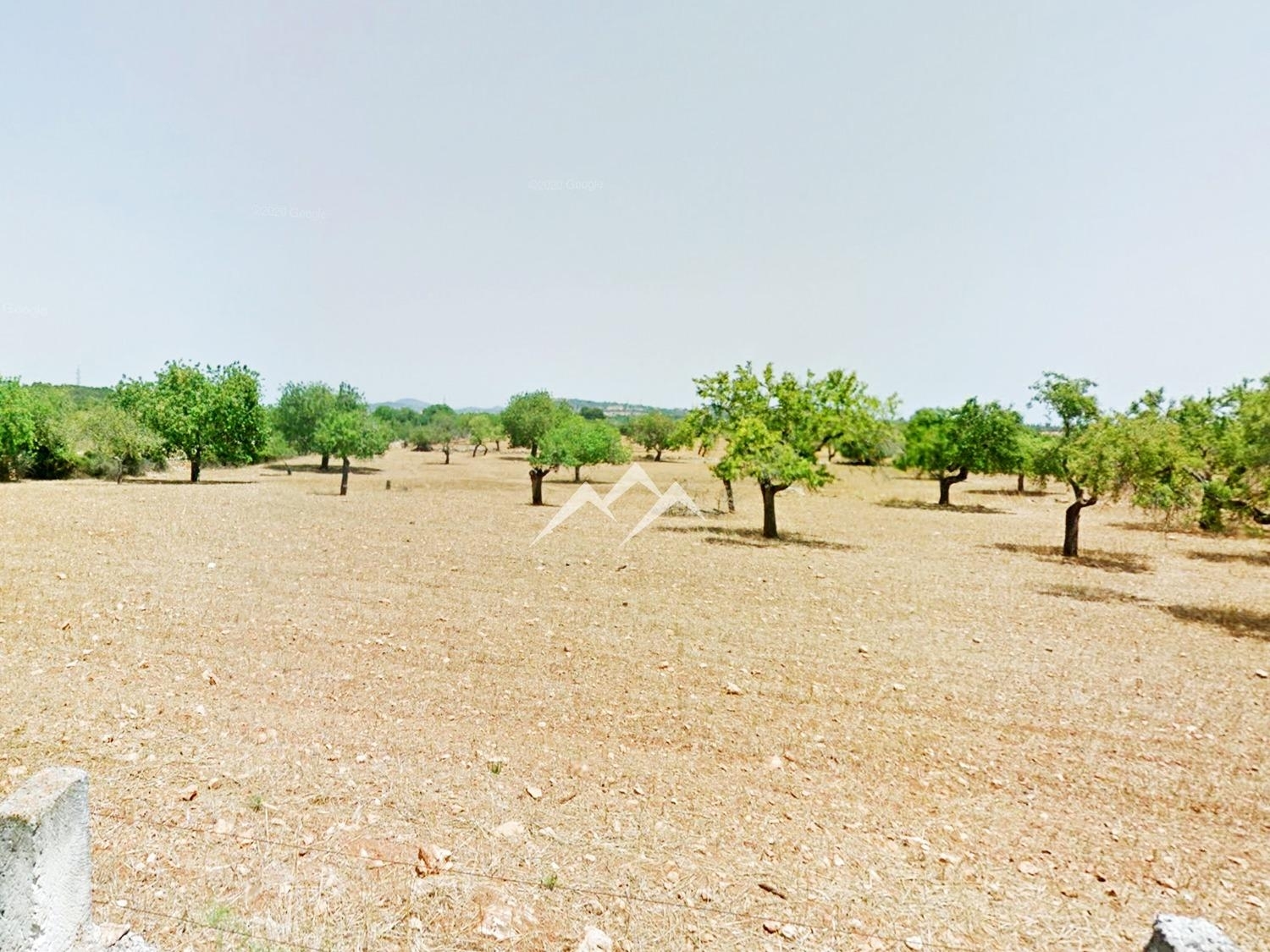  till salu tomt Manacor Llevant 3