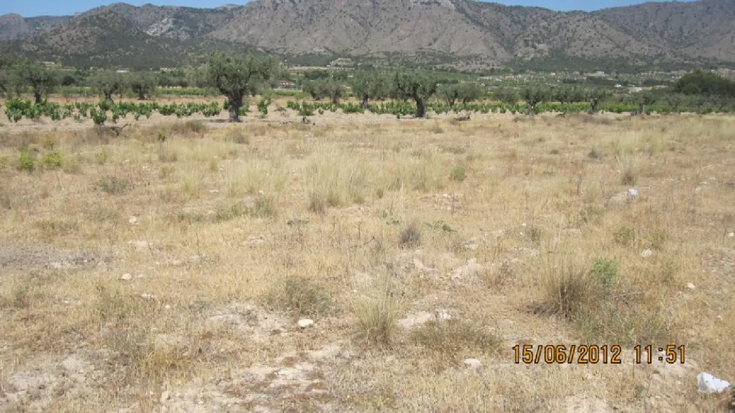 till salu tomt Cases De Sanchis Vinalopó Mitjà 2