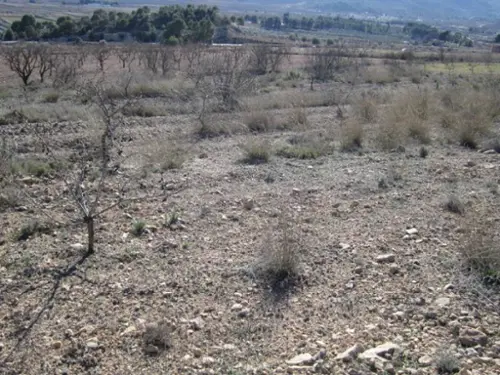 El Derramao Vinalopó Mitjà tomt foto 6190367