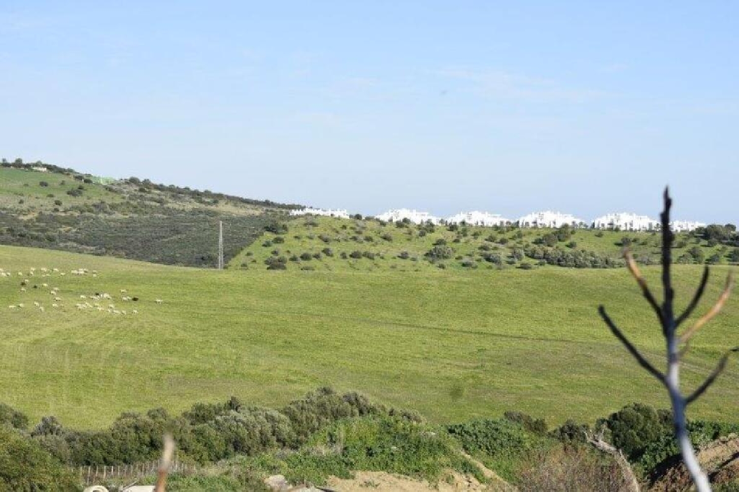  for sale plot Casares Costa Del Sol Occidental 20