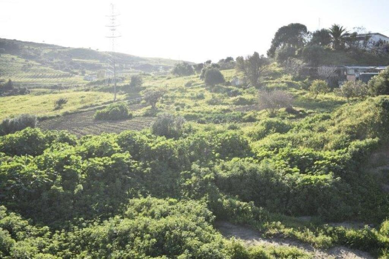  for sale plot Casares Costa Del Sol Occidental 8
