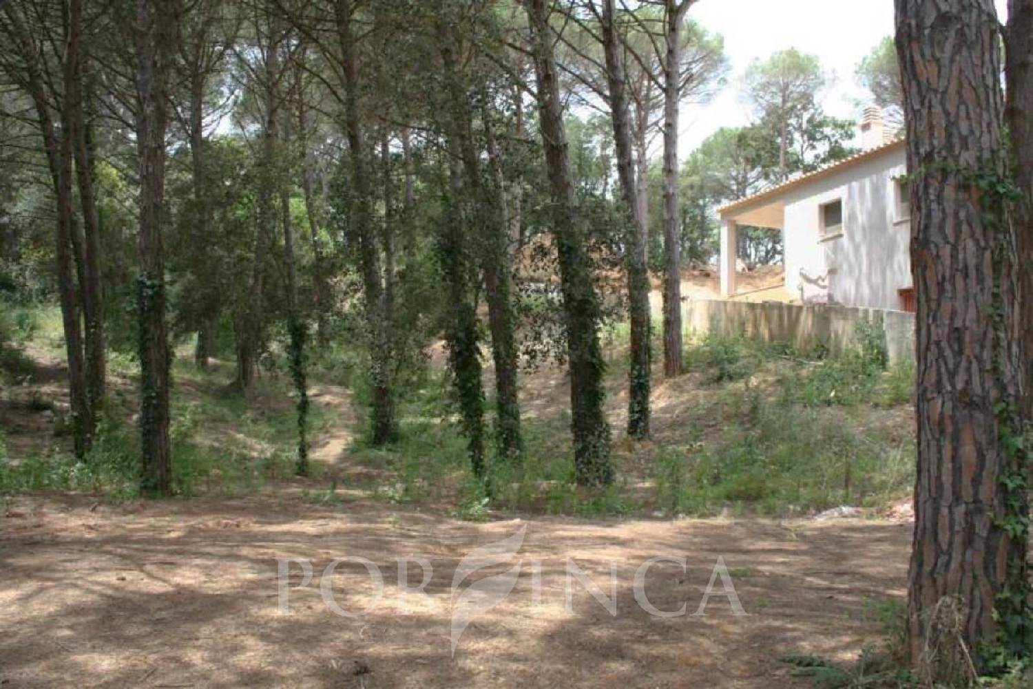 till salu tomt Mas Artigues Baix Empordà 2